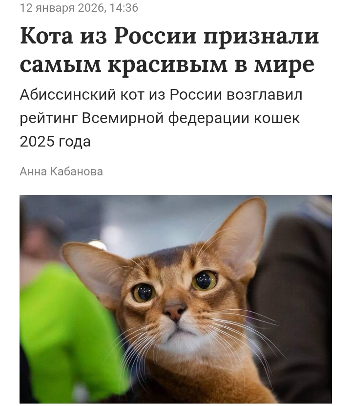 Screenshot2026-01-12-18-55-11-344641ebc0df1485bf6b47ebd018b5ee76