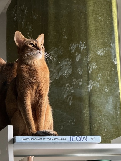 imagepicker4760B645-5B65-475D-BCCF-8FD250660270-3688-000000F7D43A28C2