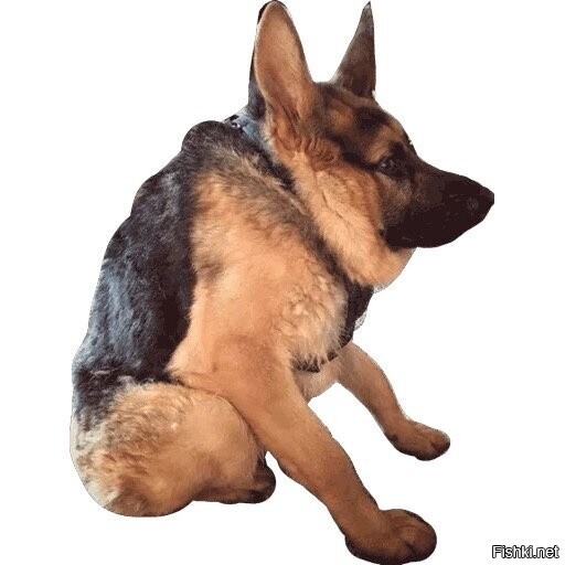 ca461af8823f13331ca04a11e3002adc