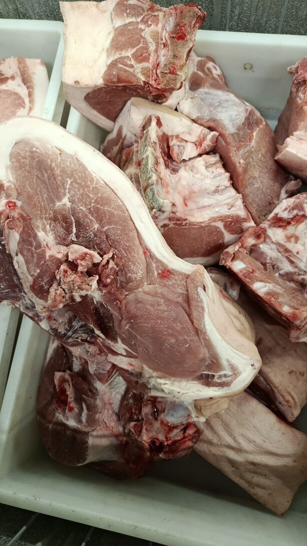 photo2026-01-3017-12-49