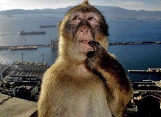 imagepicker3345B9D8-B292-4A55-8D4A-EEDB294C3FCD-41361-0000051A62A06BEB