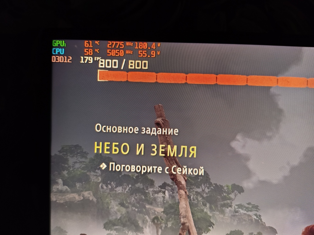 1000007951