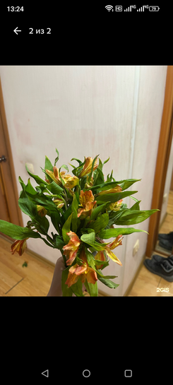 Screenshot20250103-132420