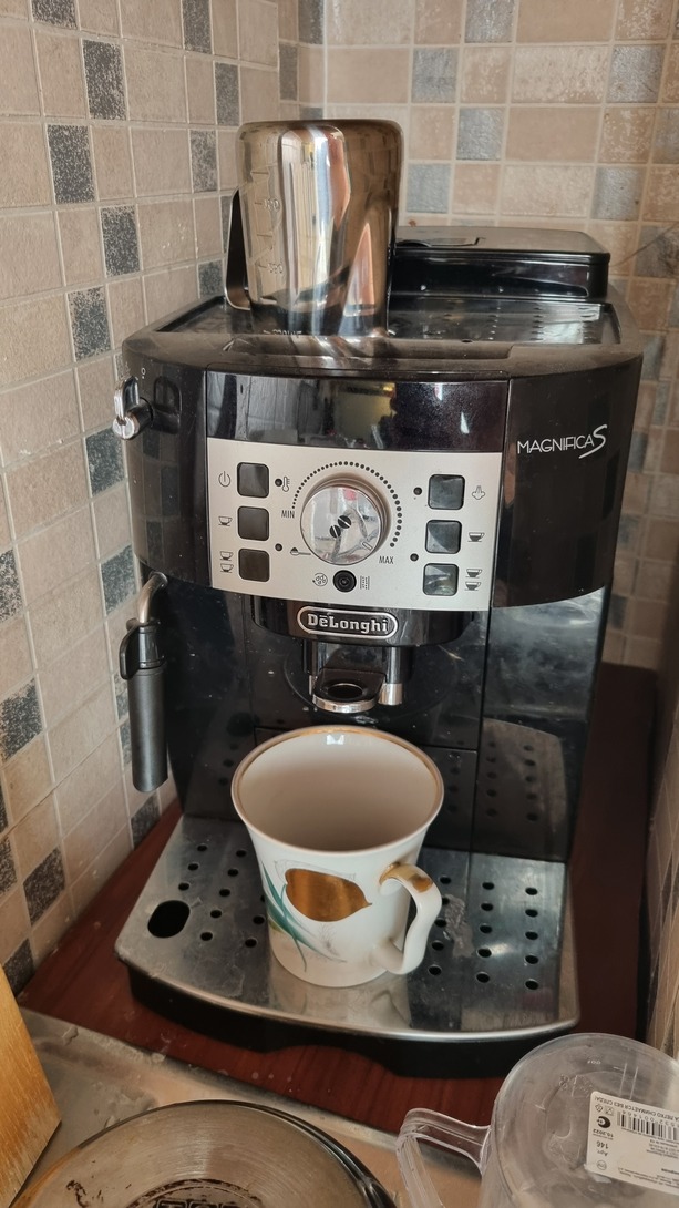 dd-1736665264463