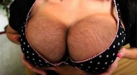 Screenshot20241229132022Telegram