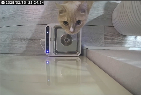 Screenshot2025-02-11-14-36-12-561com.miui.mediaeditor-edit