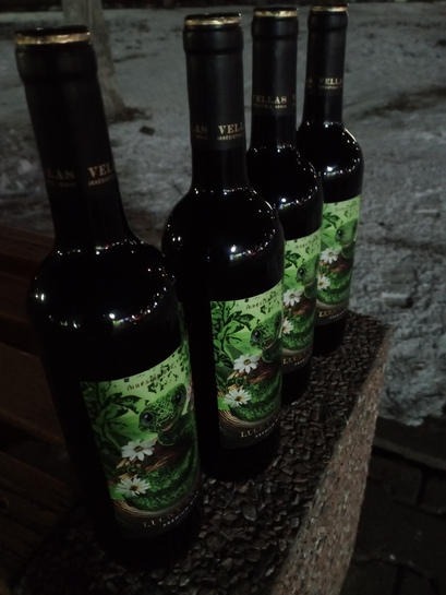 IMG20250212205856174