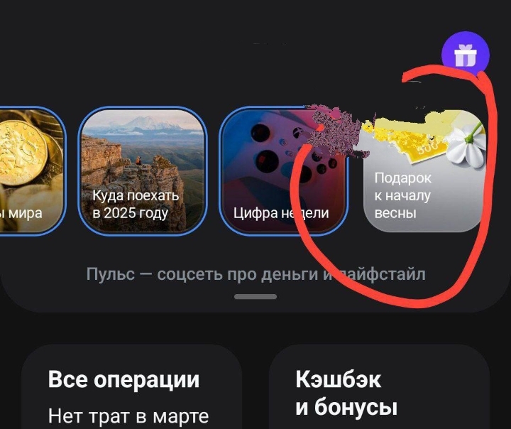 IMG20250302133921