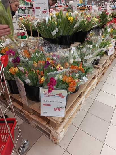 IMG20250309105315181