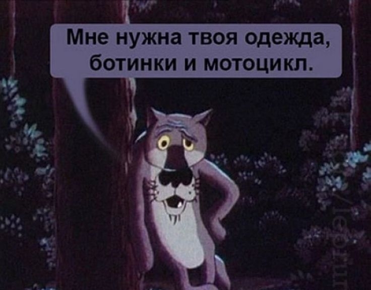 "Мне нужны твои одежда, ботинки и мотоцикл"