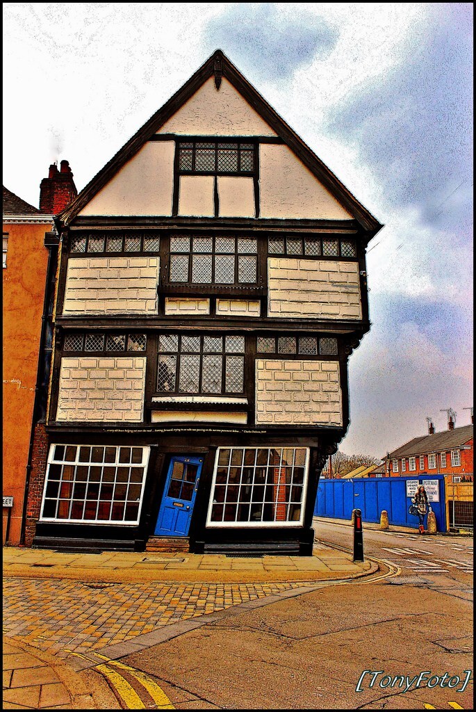 terraoko-20160607366-3