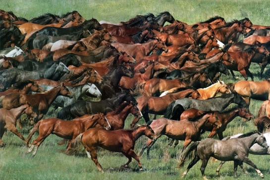 Screenshot20250320-173947