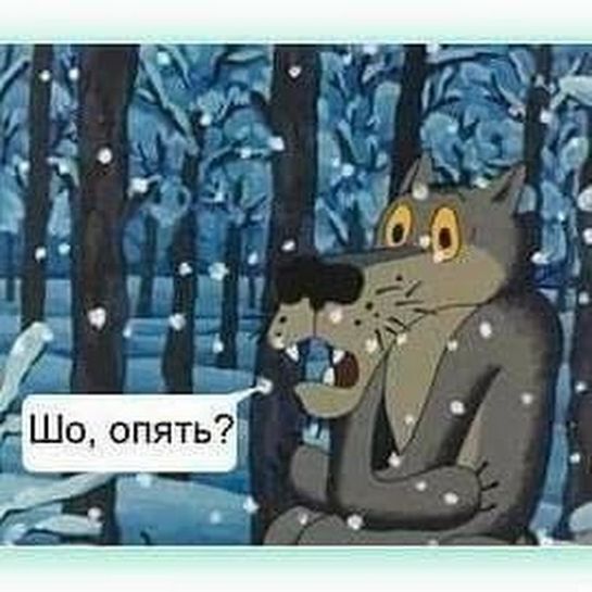 8665890-XcqXC.jpg