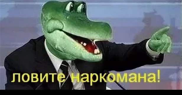 6684583-7PTku.jpg