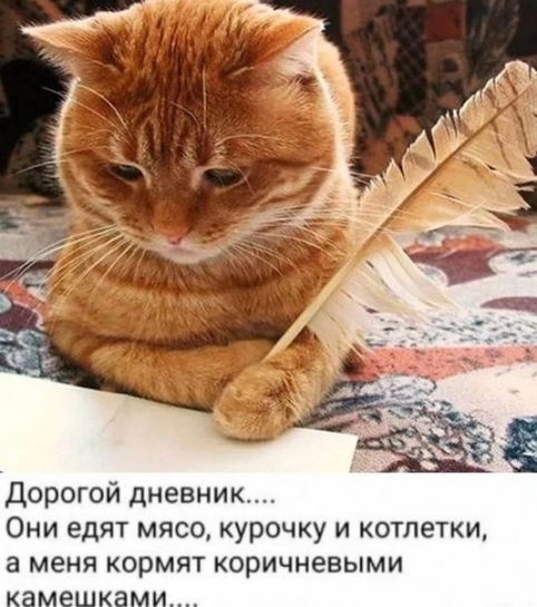 202503280040172436864378105235150