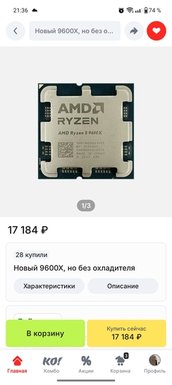 1000031244