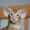 user_photo