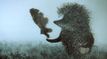 Hedgehog_in_fog