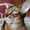 user_photo