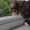 user_photo