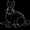 Black_Rabbit