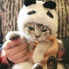 УральскийГрибник_