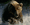 Siberian_bear