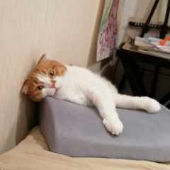 kirelf