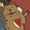 user_photo