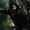 user_photo