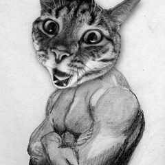 Тимур_Джафаров