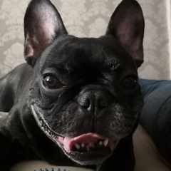 Алина_Гурова