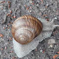 АндрейИванов