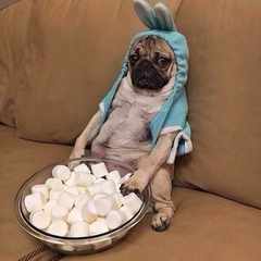 Алексей.Ларин