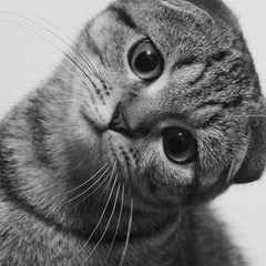 Ирина_Казанова