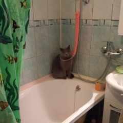 геморрой_егора