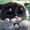 user_photo