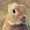 user_photo