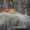 user_photo