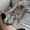 user_photo