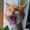 user_photo