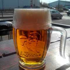 Владимир_Царану