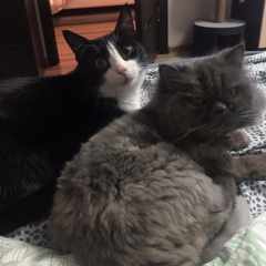 ГрУсТнО//и\\тоЧКа