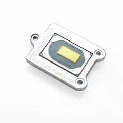 Китайский_мутант