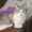 user_photo