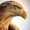 user_photo