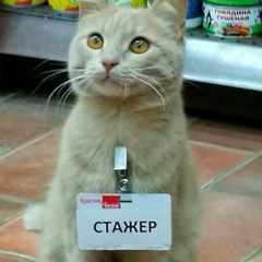 Евгеннн