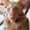 user_photo