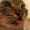 user_photo