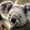 user_photo